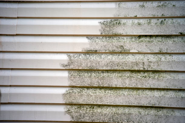 Best Foreclosure Cleanout  in Huntgburg, IN